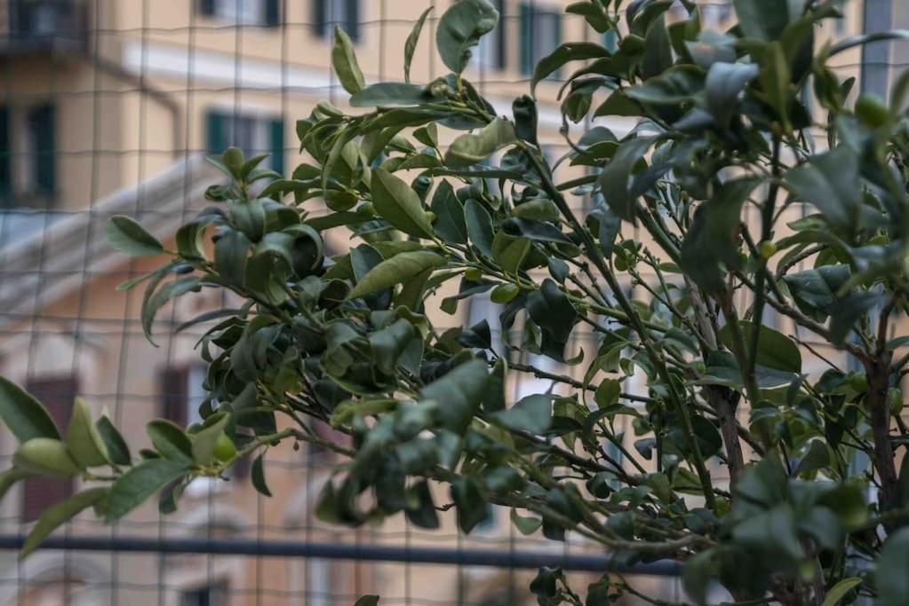 Apartament Rosy'S House Un Attico A Due Passi Dall'Acquario Parking Free Genua Zewnętrze zdjęcie